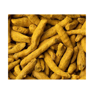 Prix de gros usine indienne 100% pur curcuma bio séché brut en bâtonnets, extrait de racine entière naturelle Glee Impex - Product Image 3
