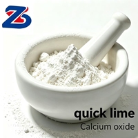 Poudre d'oxyde de calcium chaux vive CaO pour la transformation chimique et le contrôle du pH