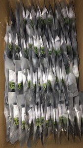 Uvas de Mar Deshidratadas, Tendencia 2026, Ingrediente Saludable para la Industria Alimentaria - Product Image 6