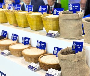 Arroz Hom Mali de Grano Largo 100% Orgánico, Fuerte Aroma, Arroz Seco Personalizable con Marca Privada o Exclusiva - Product Image 5