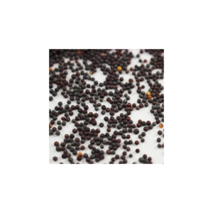 เมล็ดมัสตาร์ดเหลืองสดใหม่ธรรมชาติขายส่ง - Product Image 2