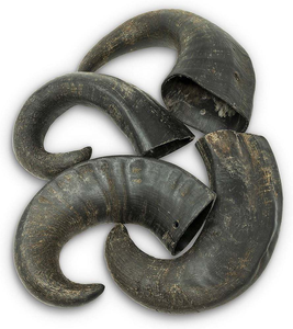 Produit phare : Artisanat de mâchoire pour chien en corne de buffle naturelle, technique artisanale brute, pour l'alimentation des animaux et la décoration intérieure - Product Image 6