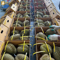 Thailand Original Taste Importeurs Verse Thaise Durian Monthong 100% Pure Zoete Romige Smaak 500g 14 Dagen Houdbaarheid Diepvries A4