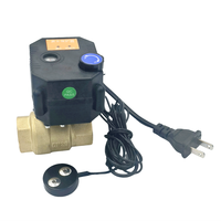 Nouveau produit d'usine : Meilleur détecteur de fuite d'eau, système de protection et d'alarme, contrôle électrique, arrêt automatique, vanne à bille