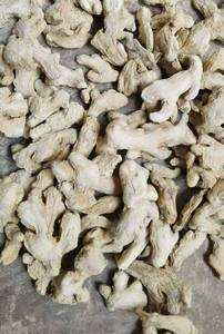 Rodajas de Jengibre Seco Vietnamita FD a Granel, Sabor Natural, Envasado al Vacío para Procesamiento de Alimentos - Sra. Tarina - Product Image 4