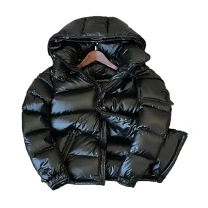 Blouson matelassé noir à capuche pour homme, rembourré de duvet, fermeture éclair, manteau d'hiver décontracté, coque en nylon, coupe classique 2026 - Product Image 3
