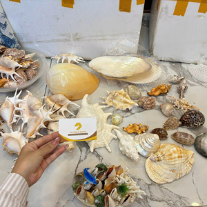 Anneau de serviette décoratif vietnamien, porte-serviettes en forme d'escargot et de coquillage pour les dîners de fêtes et les cuisines domestiques - Product Image 1