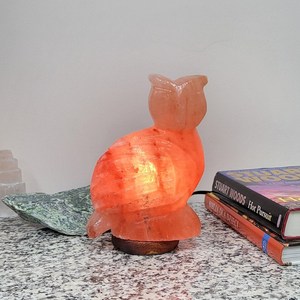 <b>Himalayan</b> <b>Rock</b> <b>Salt</b> Owl <b>Lamp</b> Natural Pink <b>Salt</b> Animal Light Modern Design Fire Resistant for Living Room & Kitchen - Product Image 1