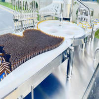 Machine de capsulage de remplissage automatique de bouteilles de sirop contre la toux pour ligne de production