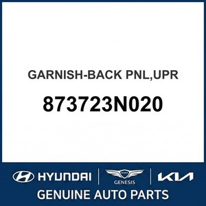 อุปกรณ์ตกแต่งตัวถังและขอบประตูรถยนต์ Equus รุ่นใหม่ 873723N020 - Product Image 1