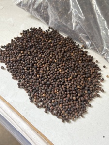 Máquina de pimienta negra Vilaconic 550 limpiada de Vietnam, tamaño grande y forma redonda, sabor perfecto para restaurante (Joice) - Product Image 4