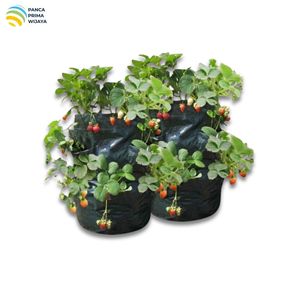 High Quality 8 Pocket <b>Strawberry</b> Planter Bag 36x46cm HDPE Woven Fabric Vertical Garden Growing <b>Pot</b> Green - Product Image 4