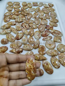 Superventas Mexican Bird Eye Jasper Gemstone Cabochon Mix Shape Grado de alta calidad Color verde Mejor calidad Lote al por mayor - Product Image 6