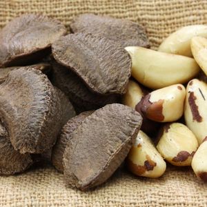 Nueces brasileñas al por mayor, suministro a granel, precio asequible, calidad premium para exportación - Product Image 3