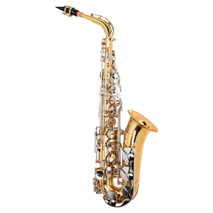 Saxophone alto standard YAS-26 en gros, directement de l'usine, avec étui rigide et kit de nettoyage, fournisseur exportateur - Product Image 6