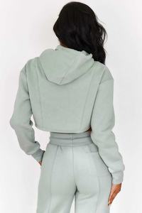 Hoodies personnalisés avec logo, vente en gros, à manches longues, pour femmes, coupe courte, collection 2026 - Product Image 2