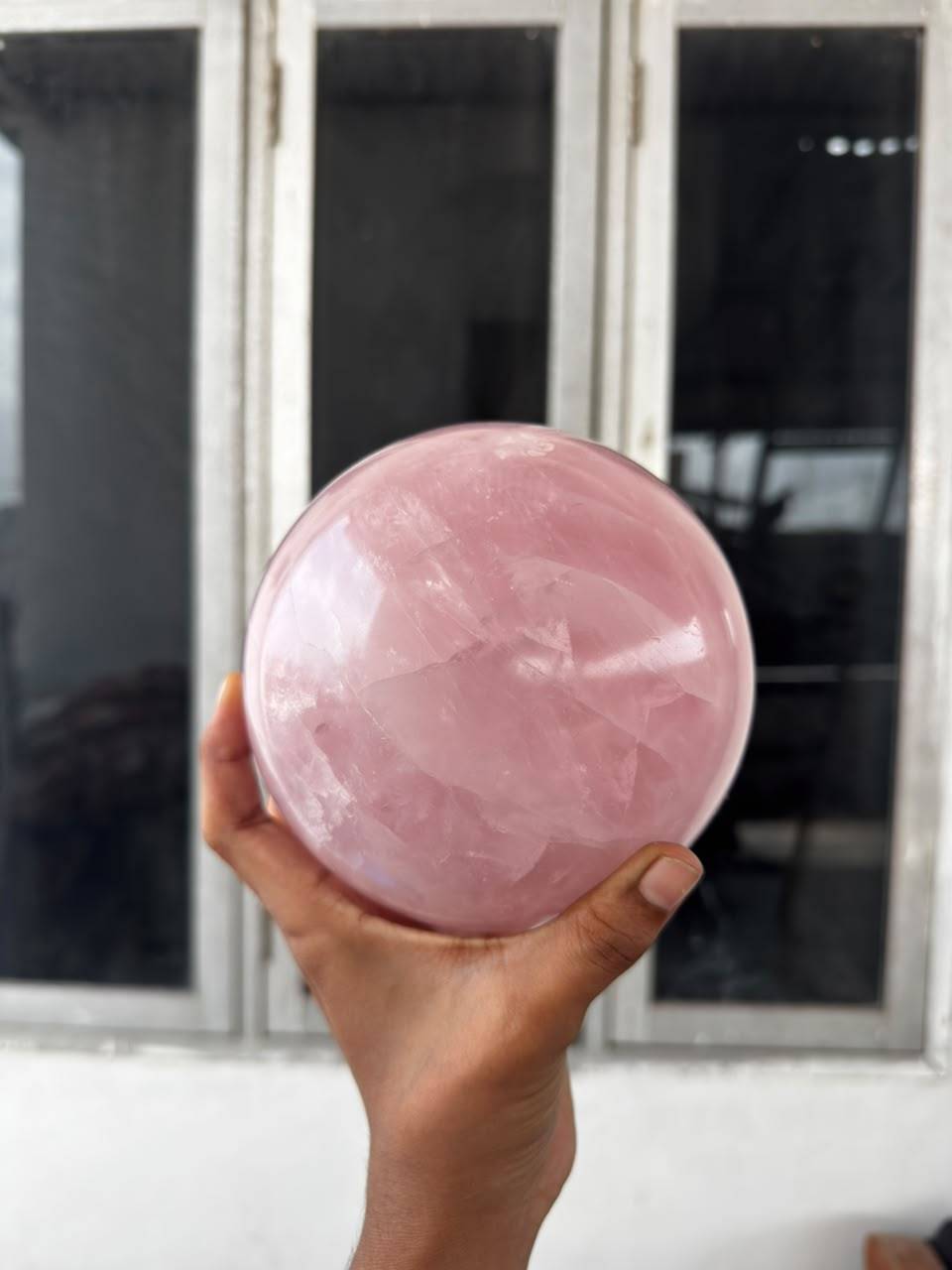 Rosa