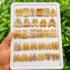 Paires de cabochons en corail naturel poli, formes variées, pierres brutes - Product Image 3