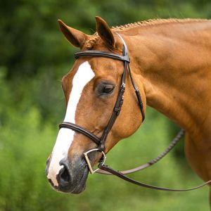 Brida de lujo de alta calidad para caballo con diadema de cristal transparente de doble fila y acolchado de cuero con canal en V - Product Image 1