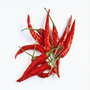 Chile Rojo Entero Natural de la India, Calidad de Exportación, Especia FitTree International, 24 Meses de Vida Útil para Distribución Mundial - Product Image 4