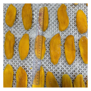 Rodajas de Mango Seco Suave de Alta Calidad, Producto de Exportación de Vietnam, Snack Saludable y Dulce, Empaque a Granel, Etiqueta Privada Disponible - Product Image 6
