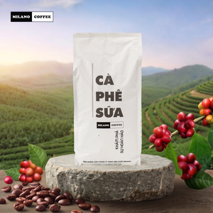 กาแฟบดโรบัสต้าผสมเฮเซลนัท ไมโลนา เวียดนาม 1 กก. คั่วเข้ม รสครีมมี่นมเข้มข้น เหมาะสำหรับชงฟิน ขายส่ง รับผลิตแบบ OEM ODM - Product Image 3