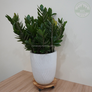 Déplaceur de plantes en bois d'acacia massif de 16 pouces, norme européenne, roulettes lisses à 360 degrés, écologique, durable pour le jardin - Product Image 2