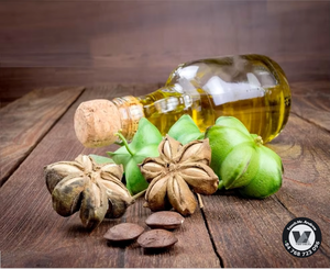 DISPONIBLE Aceite de Sacha Inchi Extra Virgen Premium, Aceite de Semilla de Plukenetia Volubilis Grado Base para el Cuidado del Cabello, a Granel 1L 5L 20L - Product Image 2
