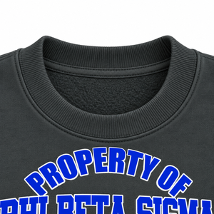 Phi Beta Sigma Charcoal <b>Mens</b> Crewneck <b>Sweatshirt</b> Winter Fleece Eco-Friendly Regular Sleeve Greek Letter Graphic Fraternity - Product Image 5