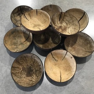 Ensemble de bols en coquille de noix de coco faits à la main avec ustensiles en bois - Vaisselle écologique en gros - Product Image 3