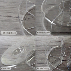 [Holar] Taiwan Made Food Grade Plastic Classic Round Divided <b>Snack</b> <b>Box</b> for Office Home Buffet Hotels - Product Image 4