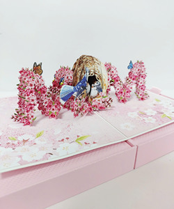 Emballage cadeau de luxe, boîte rigide, impression offset, laminage mat, vernissage, style Raphe, cadeau personnalisé fait main, papier duplex - Product Image 6