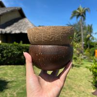 Mangkuk Tempurung Kelapa Buatan Tangan Dengan Set Sendok Desain Bohemian Ramah Lingkungan Untuk Buah, Camilan, Pesta, Penggunaan Luar Ruangan - Ukuran Jumbo
