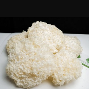 Tremella blanche séchée de qualité export, utilisée pour les desserts, les soupes, la transformation alimentaire, origine Vietnam - Product Image 5