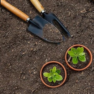 Juego de Herramientas de Jardín de Madera de Mango, 3 Piezas, Venta al Por Mayor |   Cuchillas de Acero con Alto Contenido de Carbono - Product Image 6