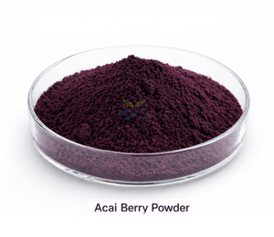 HGO Factory Fourniture directe de poudre de baies d'açai naturelles pures (qualité alimentaire) Spécifications de poudre de fruits (poudre de fruits ou de légumes) - Product Image 1