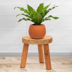 Portavelas de pilar tallado en madera de Sheesham con incrustaciones de latón al por mayor - Product Image 1