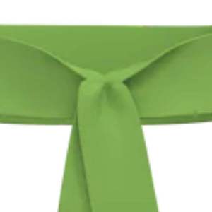 Cinturón de Tela Personalizado con Banda de Color, Acabado Suave y Cómodo, Accesorio Formal para Desfiles, Eventos y Vestimenta Tradicional - Product Image 2