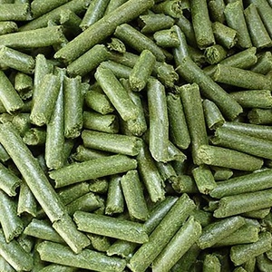 Pellets de Alfalfa Natural para Alimentación de Ganado con Forma de Pellets Práctica y Valor Nutricional Adecuado para el Cuidado Regular de Animales - Product Image 3