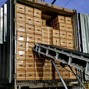 Pomelo de piel verde fresca, pomelo de Vietnam, carne rosa, cítricos orgánicos, suministro a granel, sabor dulce, grado A - Product Image 6