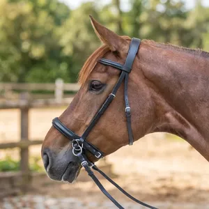 Bridon de cheval en cuir véritable traditionnel de qualité supérieure, équipement d'équitation de haute qualité, prix de gros, fournisseur. - Product Image 2