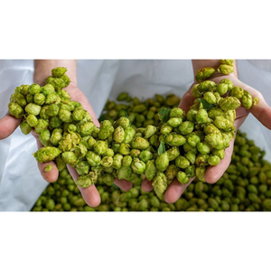 Lúpulo Crudo de Primera Calidad, Producto Agrícola Seleccionado con Rico Aroma Natural y Suministro Confiable - Product Image 2