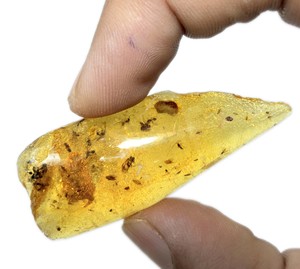 Gema de Ámbar Báltico Natural de 63 Quilates, Fósil de Hormigas e Insectos, Piedra Suelta para Joyería, 60x24x12mm - Product Image 3
