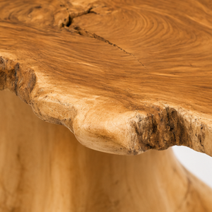 Table basse ARTERRA en teck massif, faite à la main, écologique, facile à nettoyer, durable, moderne, en racine de teck récupérée, pour salon et maison - Product Image 2