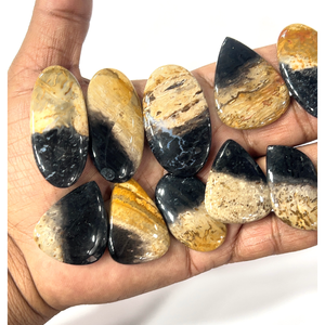 Agate de racine de palmier naturelle, pierres précieuses en vrac, cabochons de formes et de tailles variées, environ 20 à 30 mm - Product Image 1