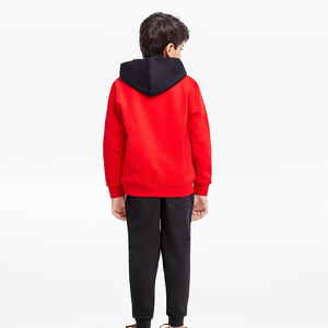 Sudadera con Capucha para Niños, Sudadera de Algodón Cálida para Invierno, Sudadera con Capucha de Manga Larga, Diseño Personalizado OEM ODM, Fábrica de Venta al por Mayor - Product Image 2
