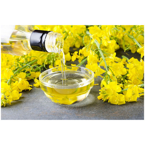 น้ำมันเรพซีด ออร์แกนิคแท้ 100% น้ำมันเรพซีดบริสุทธิ์ น้ำมันคาโนลา - Product Image 6