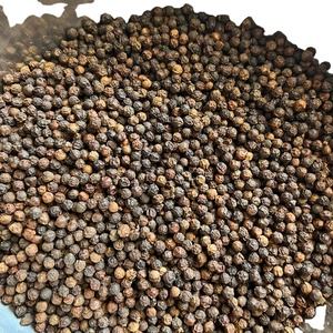 Pimienta Negra de Alta Concentración de Piperina, Granos de 5 mm, 550GL, 570GL, Calidad Estándar ASTA, Origen Vietnam, Precio Directo de Fábrica para Exportación - Product Image 5