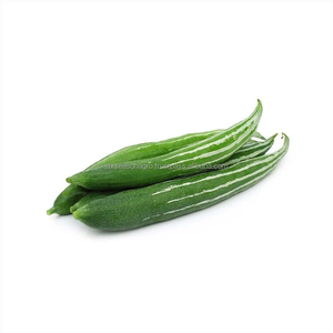 Calabaza Verde Fresca Grado A, Calidad Premium para Exportación, Vegetal Tropical Fresco de Granja, Proveedor Mayorista de Bangladesh, Seis Estaciones - Product Image 3