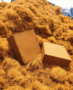 เม็ดมะพร้าวอัดเม็ด (COIR PITH) บล็อกเปลือกมะพร้าว  วัสดุปรับสภาพดินที่เป็นมิตรกับสิ่งแวดล้อม สำหรับการเกษตร เบน เทร เส้นผ่านศูนย์กลาง 36 มม. หนา 18 มม. - Product Image 6
